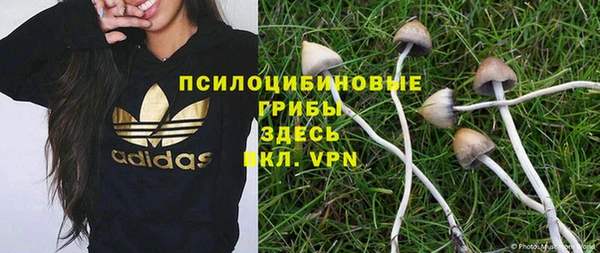 прущая мука Покачи